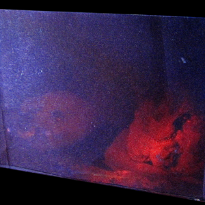 A l'occasion de l'exposition (très) petit format à l'Immix Galerie