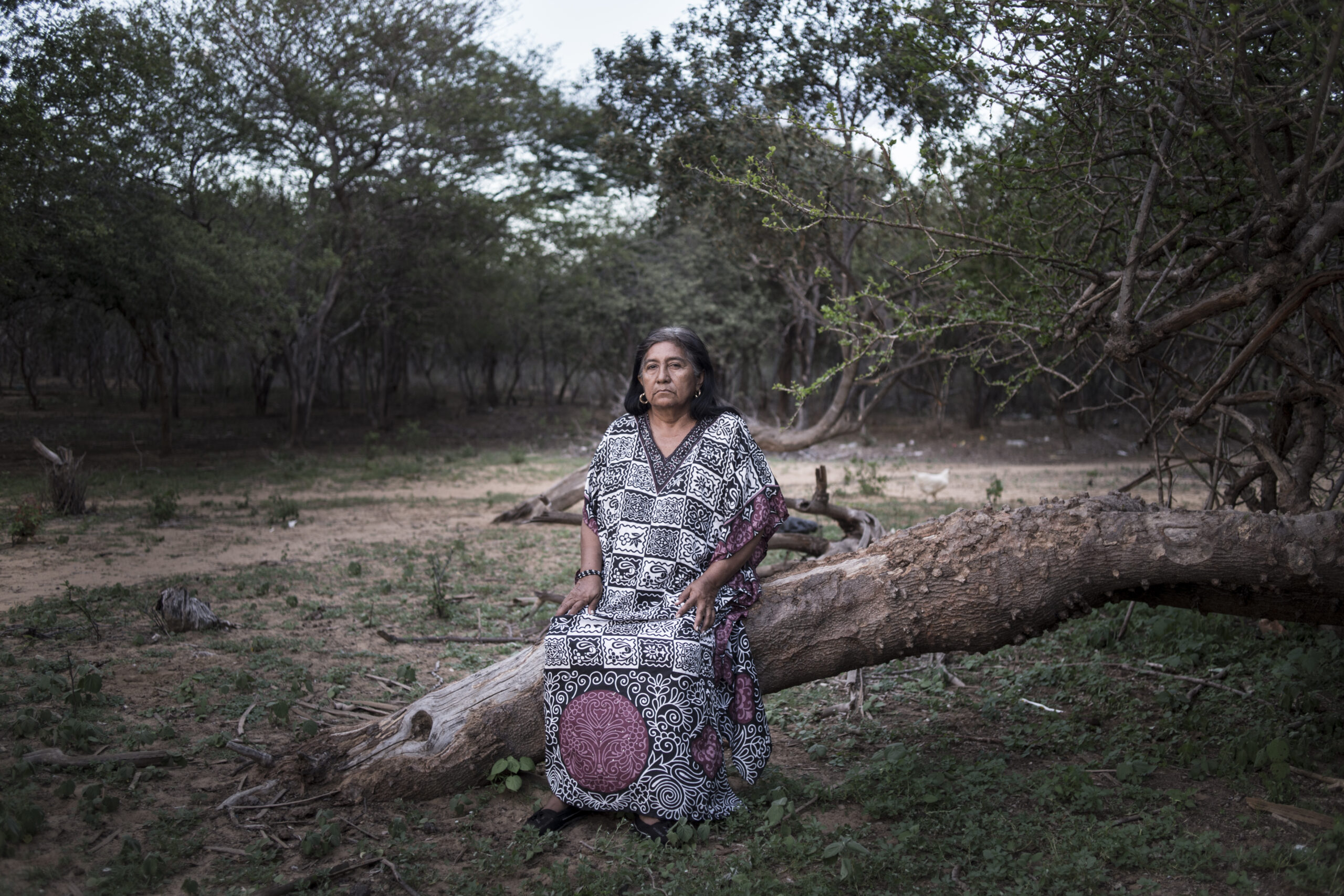 Maria Arpushana, sœur de Cristina est la chamane du clan. Maria explique qu’à l’âge de 7 ans, l’esprit est venu la retrouver dans ses rêves pour lui annoncer qu’elle était élue « Piachi », chamane, élue pour protéger sa communauté du mal. La Guajira, Colombie, Novembre 2014