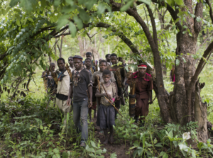 La photographie présente les Pygmées en RDC vivant au milieu de la forêt de façon précaire.