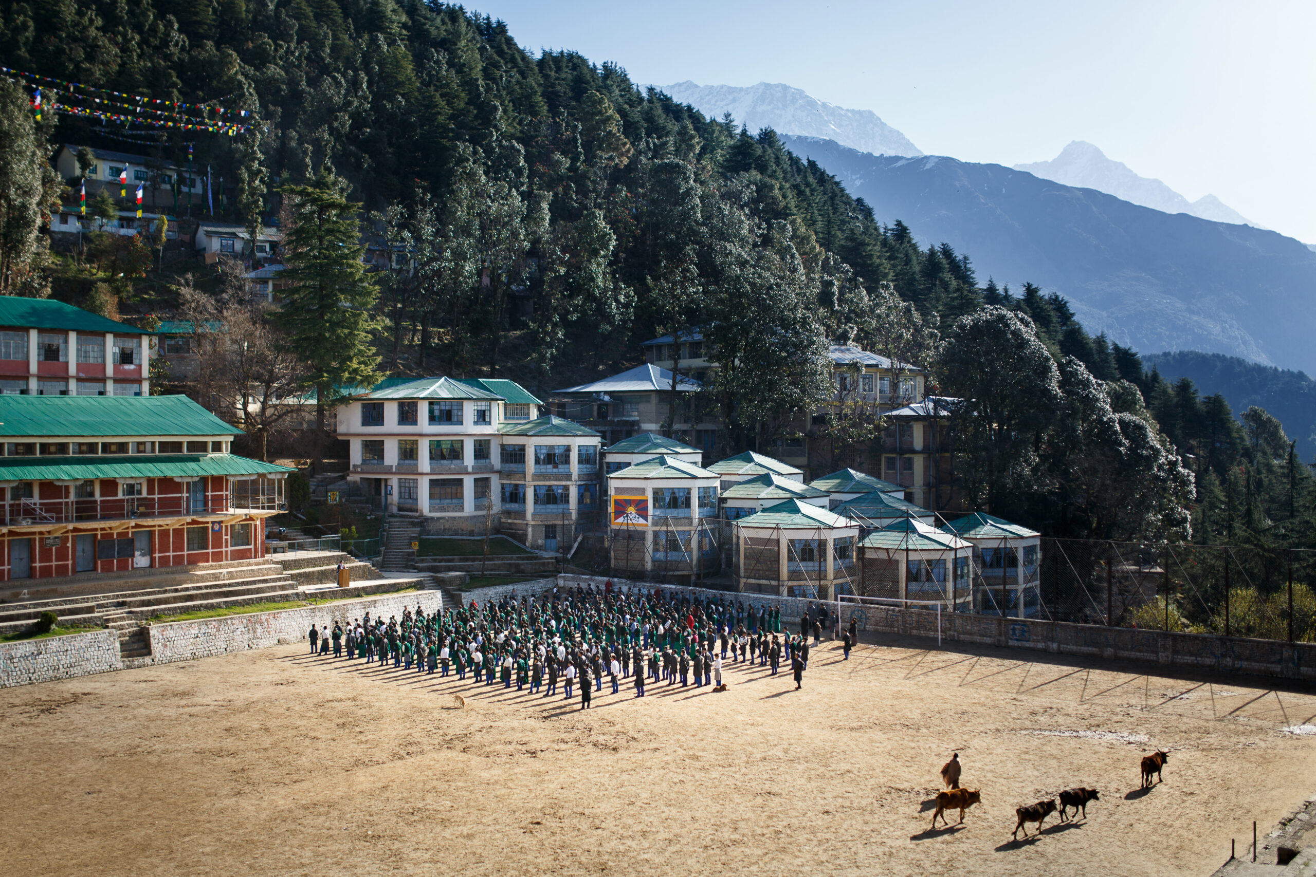 Le Tibetan Children's Village à Dharamsala, en Inde, accueille les enfants tibétains qui ont fui l'occupation chinoise. A près de 1700 mètres d'altitude, il s'étend sur plusieurs dizaines d'hectares.   //   The Tibetan Children's Village, in Dharamsala (India), welcomes tibetan children who ran away from the chinese occupation. At 1700 meters high, the village covers 40 hectares.